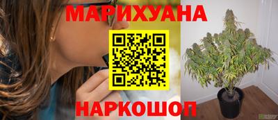 каннабис Анжеро-Судженск