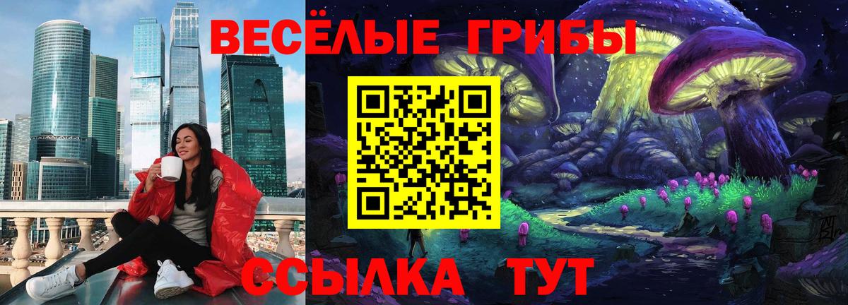 купить   Вход с VPN  Норильск  Псилоцибиновые грибы Cubensis 